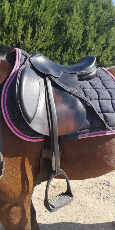 A vendre selle �ric mondange 16.5 mixte 500?