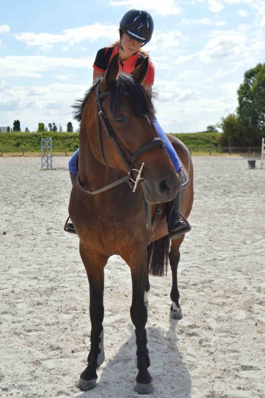 Recherche filet de marque avec t�ti�re anatomique 