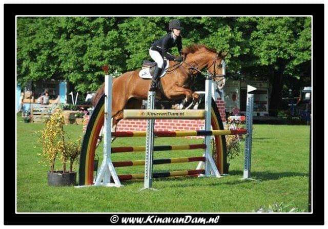 VDL Eastwind v. Baloubet du rouet and me