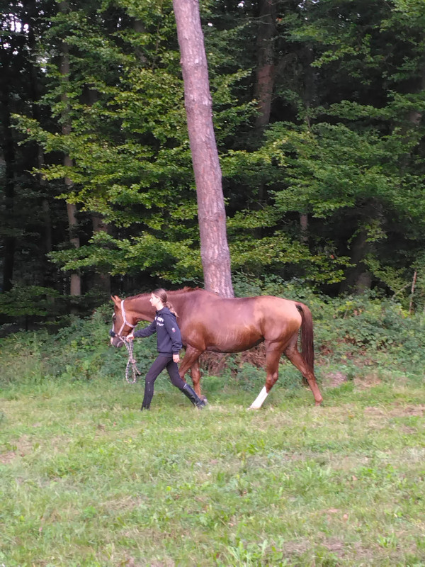 b�b� a beaucoup grandi