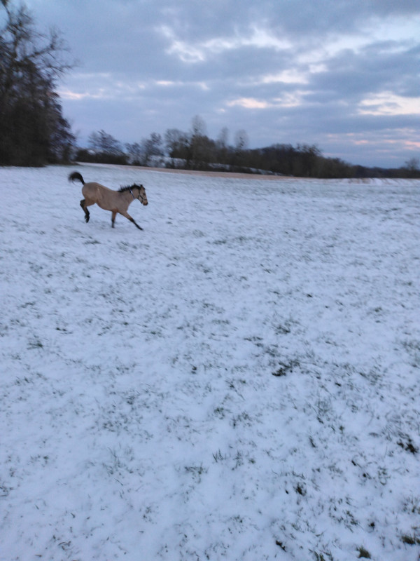 je serai � vendre sous contrat des monsevrage....