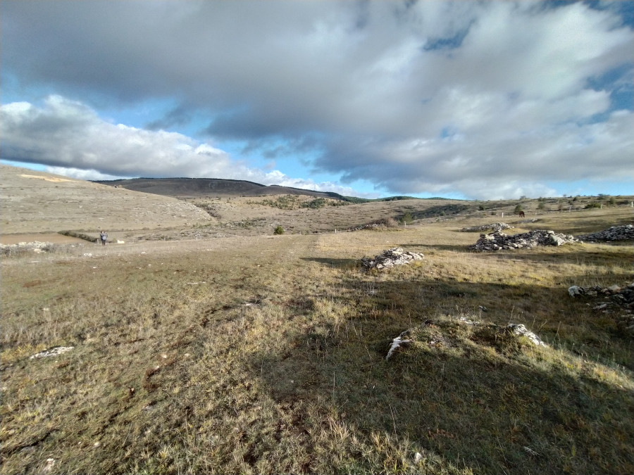 Endroit r�v� pour nos chevaux, le pr� des n�tres ?