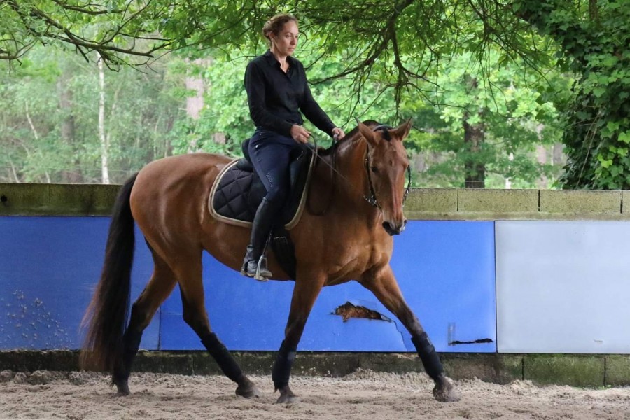 paule en dedans avec Oriana