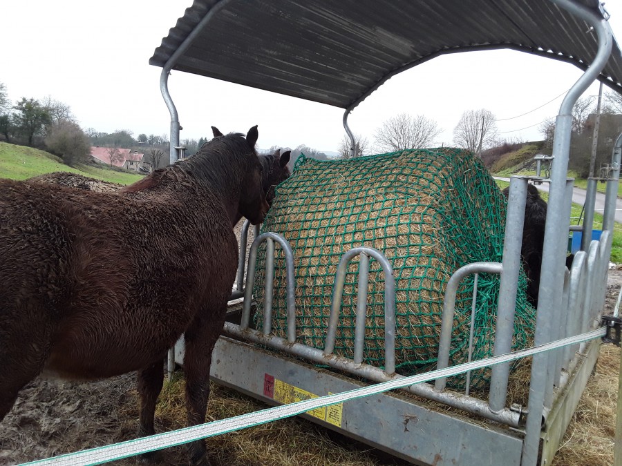 Ratelier a botte ronde