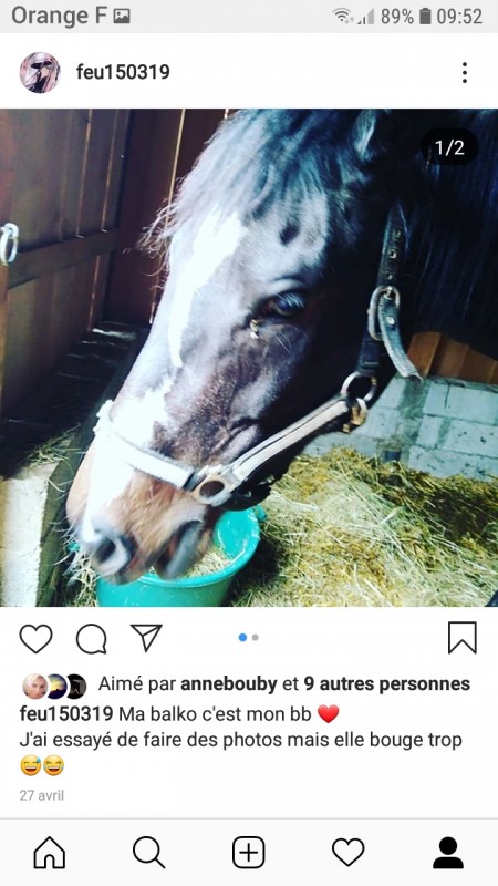 ma balkosia ??