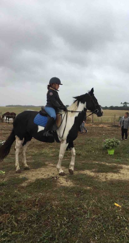 Concour d\'equitation 