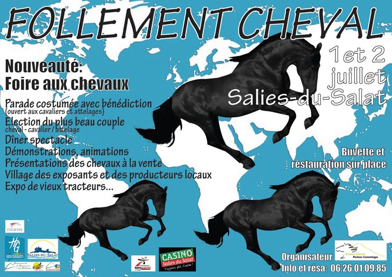 2017-07-Follement-Cheval-6d.-Salies-du-Salat-31260
