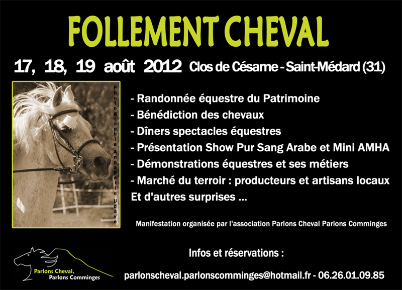 2012-08-Follement-Cheval-1d.-Clos-de-Csame-Saint-Mdard-31360