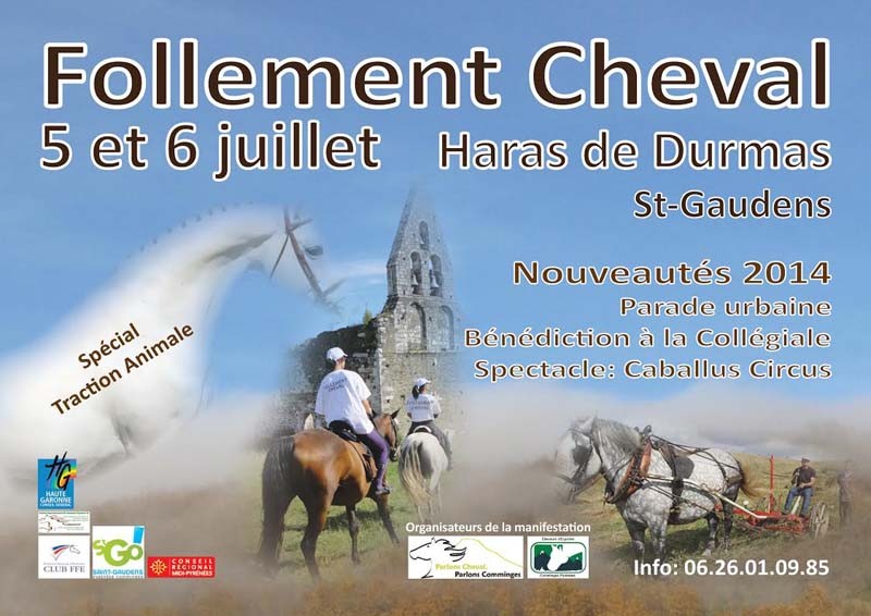 2014-07-Follement-Cheval-3d.-Haras-de-Durmas-Saint-Gaudens-31800