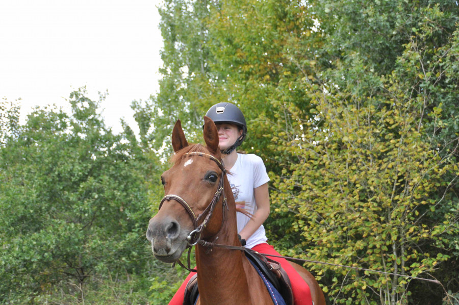 recherche d\'une demie pensionnaire pour mon poney