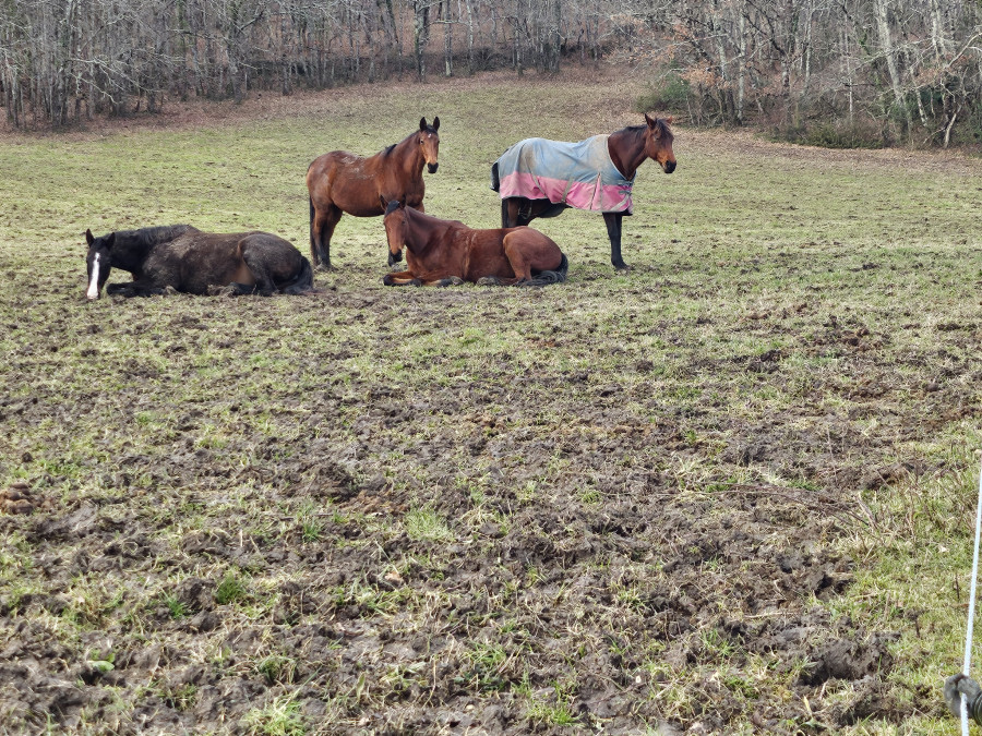 L'heure de la sieste 