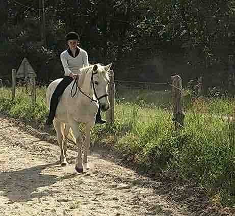 Recherche emploi cavali�re soigneuse palfreni�re dans le 77 plus d\'infos et CV en mp