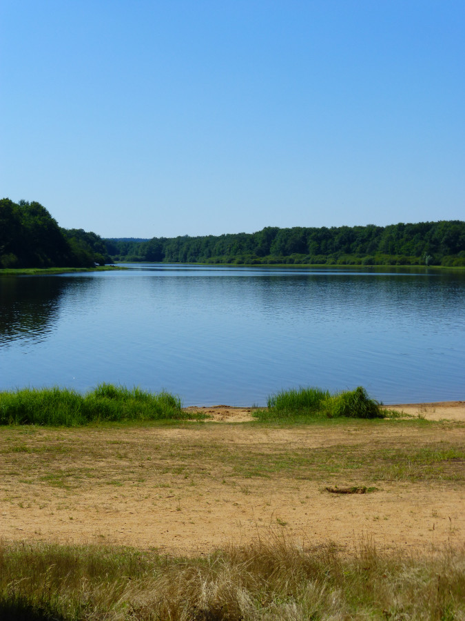 lac du Bourdon St Fargeau