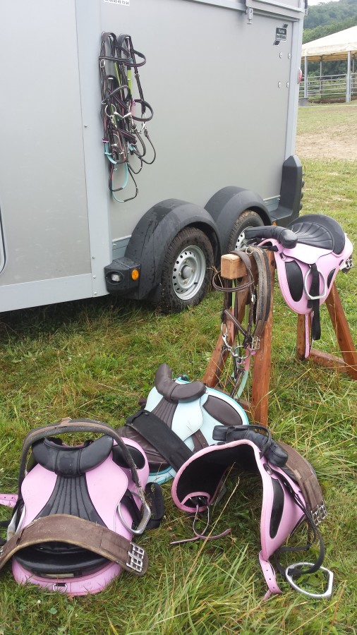 je vends 4 selles et 4 brides pour poneys, il y a les sangles, tout est en tr�s bon �tat. Il peut y avoir des licols de taille poney �galement si int�ress�.
mp pour plus d\'informations ?
