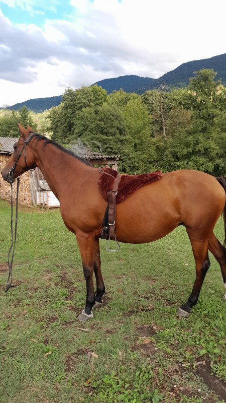 Cest parti pour une balade