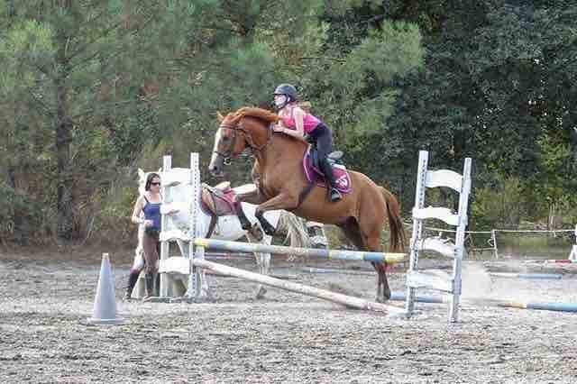 tapis bordeaux hvpolo 20? a vendre