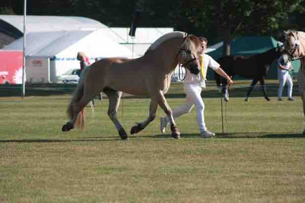 pres pour un beau concour