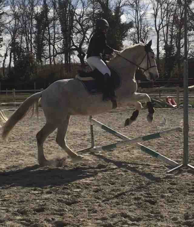 2 eme concour avce indianna 