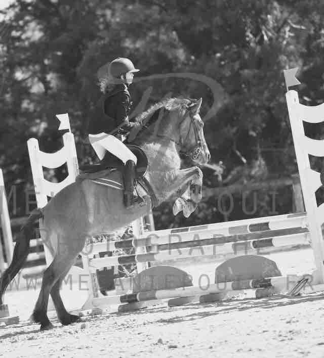 Cso a l\'ile de loisel (HW)