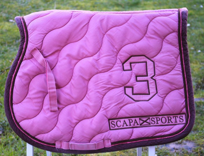Recherche Scapa 2007 Cheval vieux rose/chocolat (photo internet)
