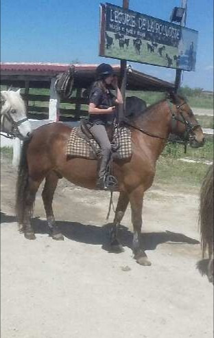 Ce cheval je l'ai mont�e en Camargue avec mon fr�re et des amis pendant une balade sur la plage c'�tait g�nial