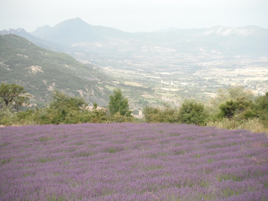 Rando dans la Dr�me , 2016