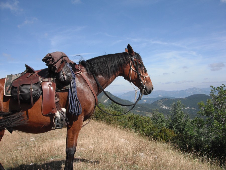 Rando dans la Dr�me , 2016