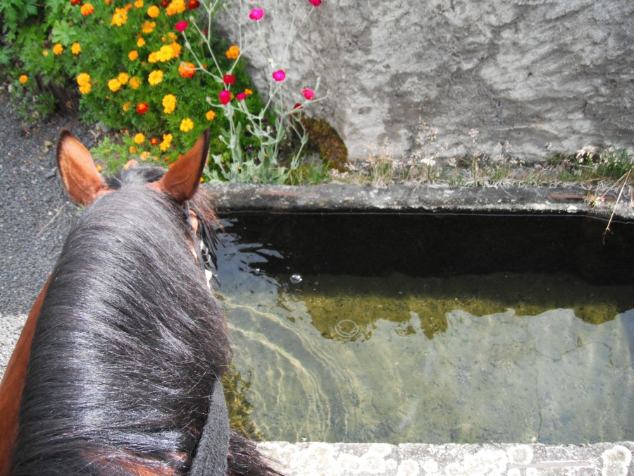 Rando dans le Puy de D�me , 2011