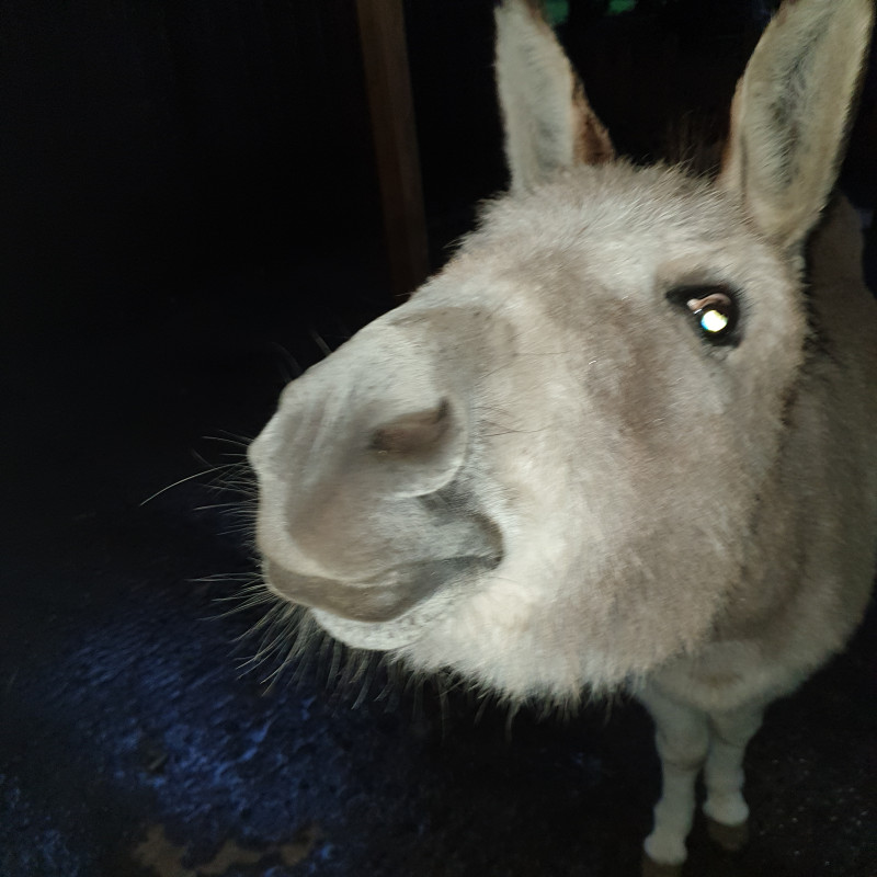 Des b�tises moi? Nooooon