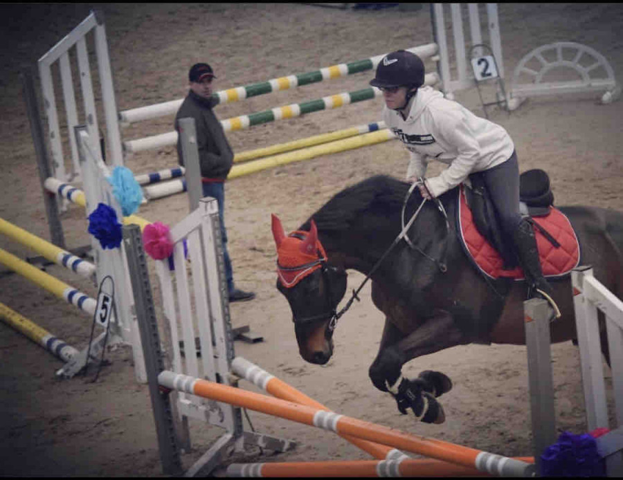 Salut je recherche un stage, place de travail dans le monde �quin dans le 67/68/25/26 et/ou en suisse avec h�bergement si possible ??

Je m?appelle Isis, j?ai 20 ans je pratique l?�quitation depuis 10 ans j?ai arr�t� pendant 3 ans et l� je reprends gentim