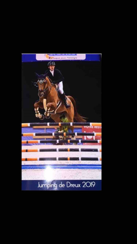 Martin boumlik cavalier pro freelance