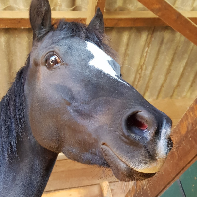 Bjr je suis nouvelle 