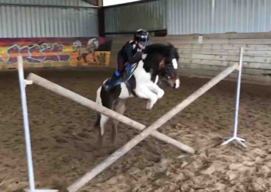 � louer poney de 110cm OC hongre, gentil et facile au quotidien.
C'est un poney d�bordant d'�nergie ?! aucuns vices aptes pour galop 2 et plus. Se situe au ECURIES DE POIGNY 77160 possiblit� de le deplacer. plus d'infos 0665353441 messenger juliane Stls