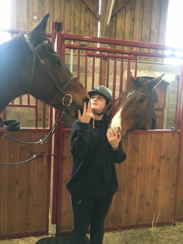 **RECHERCHE**
Bonjour, je suis a la recherche un cheval a confier.
J\'ai mon galop 3 bient�t le 4 
J\'ai 14ans je monte depuis 4ans maintent 
Je suis de val de reuil [27]
;-)merciii d\'avance(-;