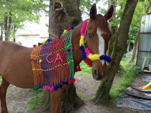 Photo de emelinepecquet