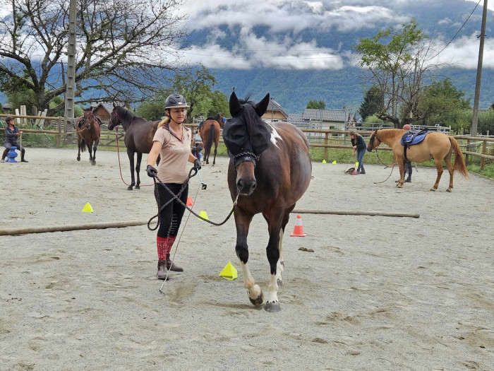 Photo de profil de 06.99zaz