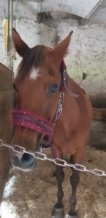 Photo de profil de 07ghorab