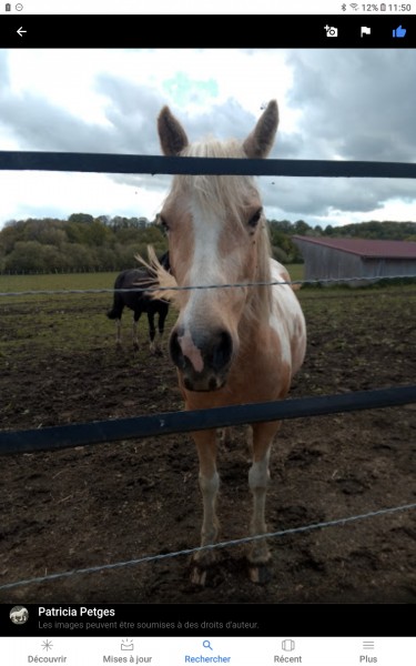 Photo de profil de 08chevaux
