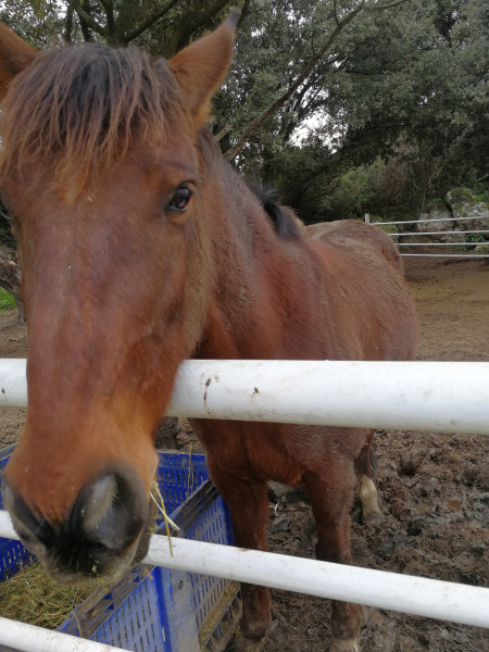 Photo de profil de 0toti