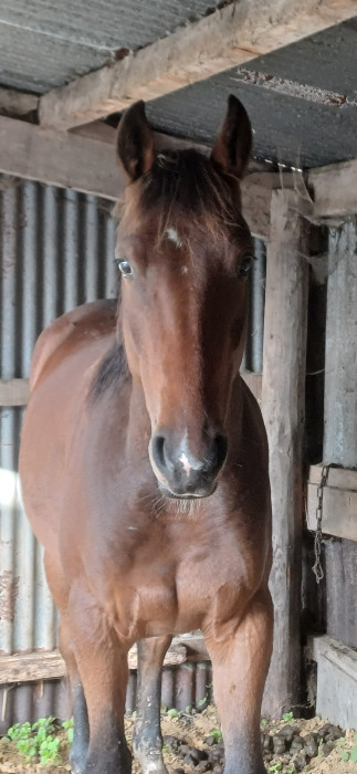 Photo de profil de 123marceau