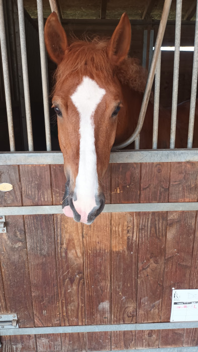 Photo de profil de 12kiara