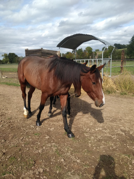 Photo de profil de 13harpie