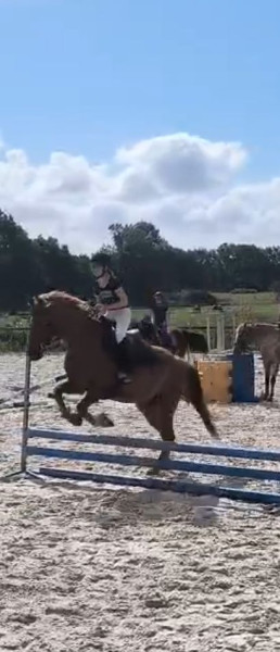 Photo de profil de 13margaux07