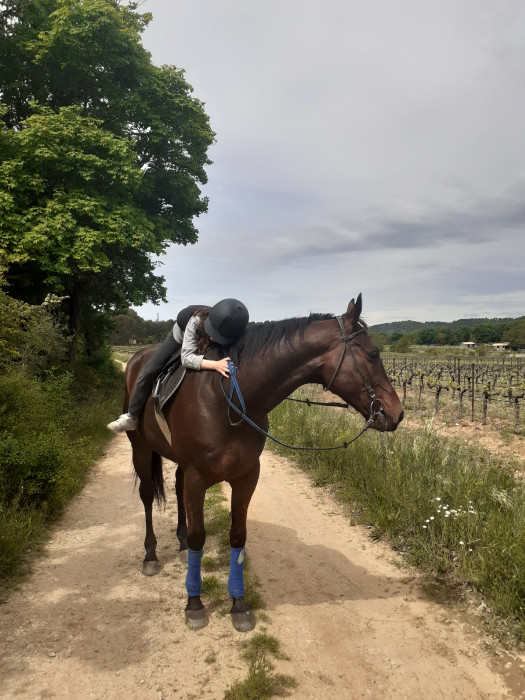 Photo de profil de 13morgane