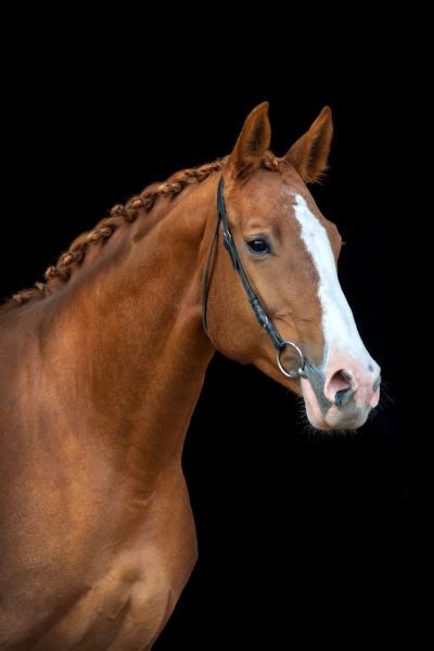 Photo de profil de 1406frison