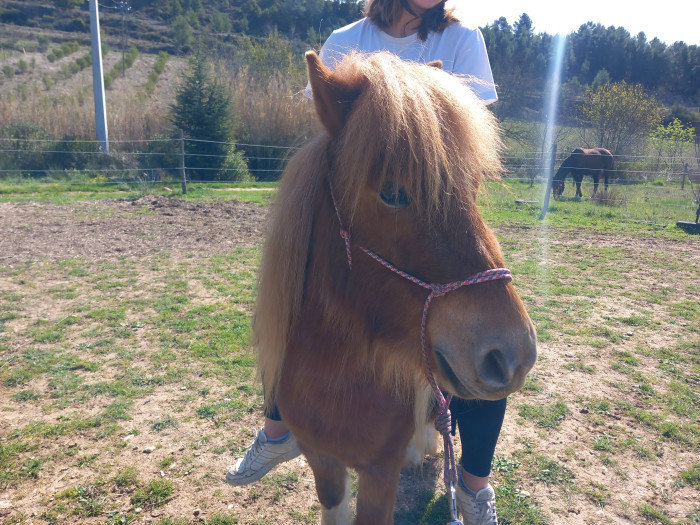 Photo de profil de 1664._a