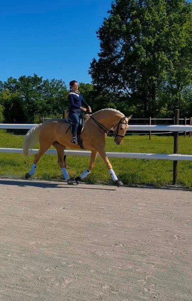 Photo de profil de 18heroica