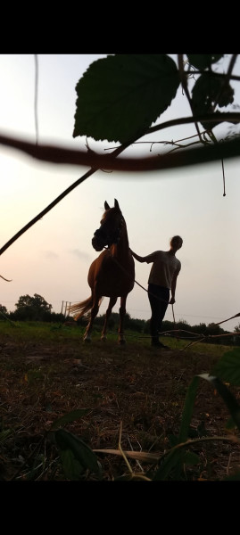 Photo de profil de 1coeurpour4