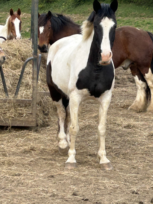 Photo de profil de 1dusty