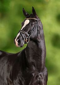 Photo de profil de 1jade4